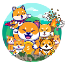 DogeVillage DOGEV cryptocurrency DogeVillage DOGEV cryptocurrency