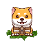 BABY DOGE BILLIONAIRE BABYDB