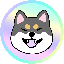 Kuro Shiba KURO