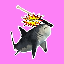 SharkBonk SBONK