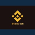 Binance Coin (BNB) Cryptocurrency Review