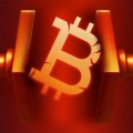 Peter Todd: without social media, bitcoin might not have existed