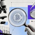 A bitcoin transaction: how to read and track it