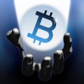 Bitwise CIO Says Bitcoin May Be Near Crypto Winter’s Bottom