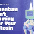 The Quantum Issue: Quantum Isn’t Coming For Your Bitcoin