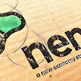 NEM cryptocurrency perspectivity