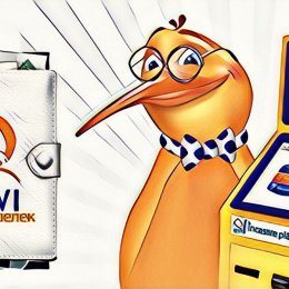 Sistema di pagamento QIWI
