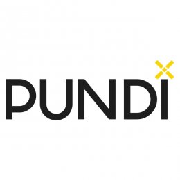 Recensione della criptovaluta Pundi X (NPXS)