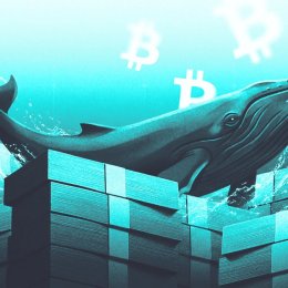 Bitcoin Whales Never Stopped Buying: Is Wall Street the Last to Catch On?