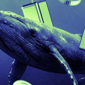 UNI Whale Accumulation Hits Fastest Pace in 5 Years on Binance
