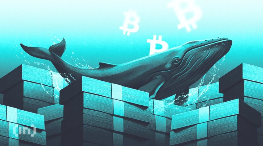 Bitcoin Whales Never Stopped Buying: Is Wall Street the Last to Catch On?