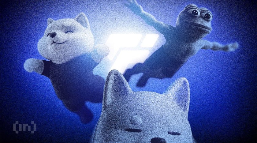 Jimothy The Raccoon Solana Token Climbs 186% After Viral Meme Fame